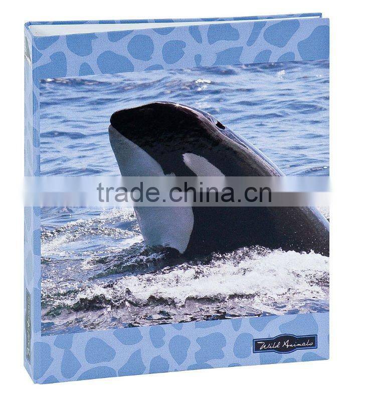 Fashion file folder printing & high quality folder service