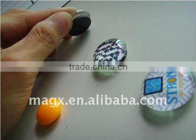 White Board Magnet ----Magx Best Selling