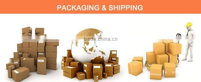 Factory direct sale Auto Dent Repair package