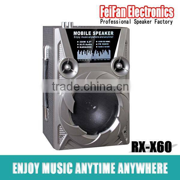 Hot Sale 6.5 Inch Bluetooth Mini Speaker/Portable Mini Speaker