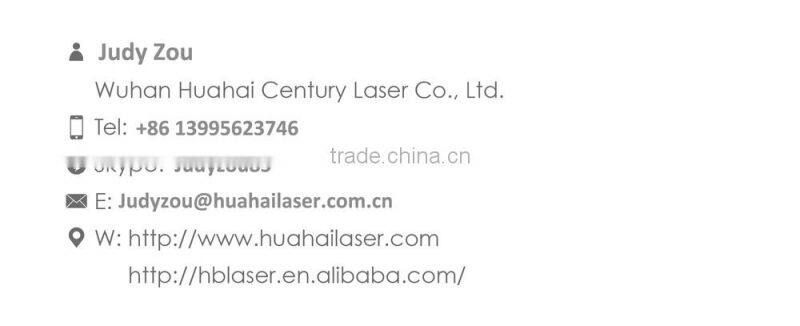 plastic security seal Fiber Laser Marking Machine