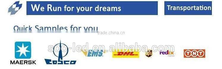 LED Park light led street light 30W replacement with high quality