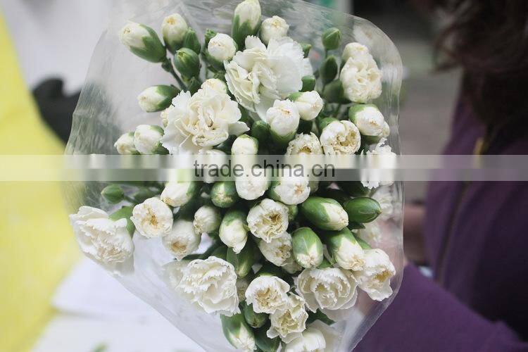 Fresh new coming flower carnation and rose for wedding decoration