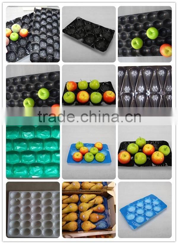 2016 Best Selling Colorful Customized PP apple insert tray
