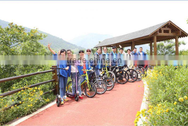 Electric Fat Tire Mountain Bicycles with LCD Display