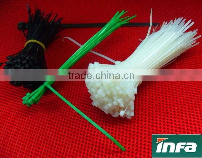 mounted hole cable tie pvc plastic cable ties