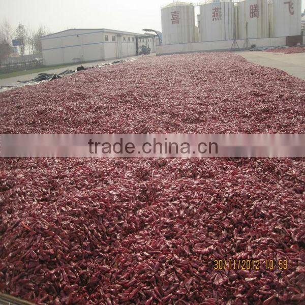 2013 popular product dried chili peppers