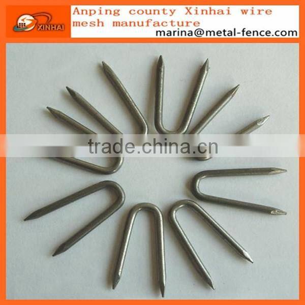 Hot-dipped galvanized fence staples / U-Nails/ U Type Nails
