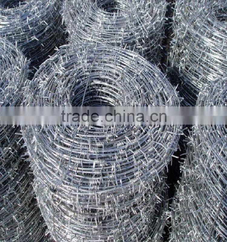 galvanized barbed wire factory / Barbed Wire