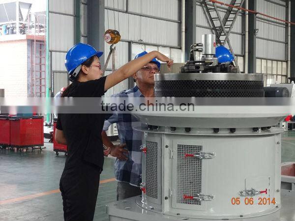 china compressed wood pellets mill for sale(1-1.5ton/h)