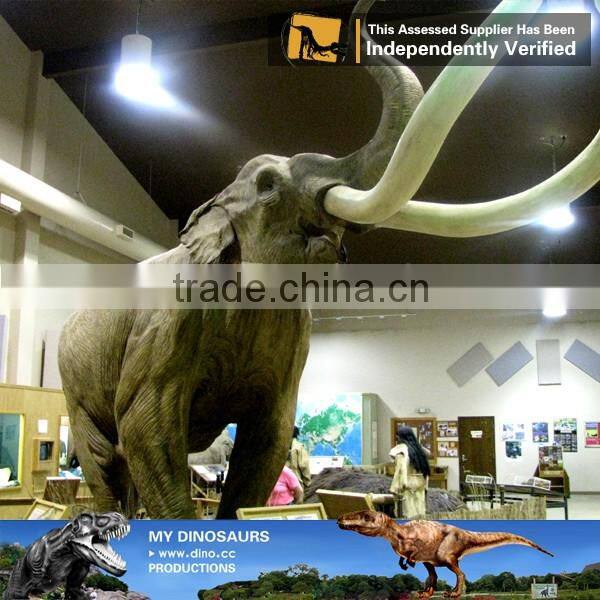 My Dino-C019 Lifelike animal theme exhibition mammoth for sale