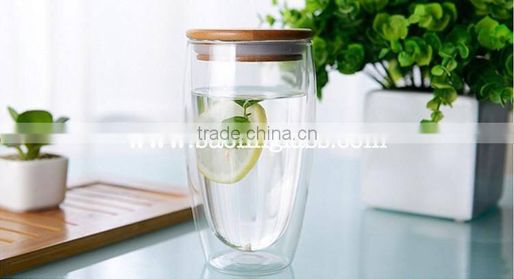 Personalized Double Wall Glass Reusable Water Bottle with Fruit Infuser