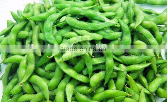 IQF Fresh Soybeans