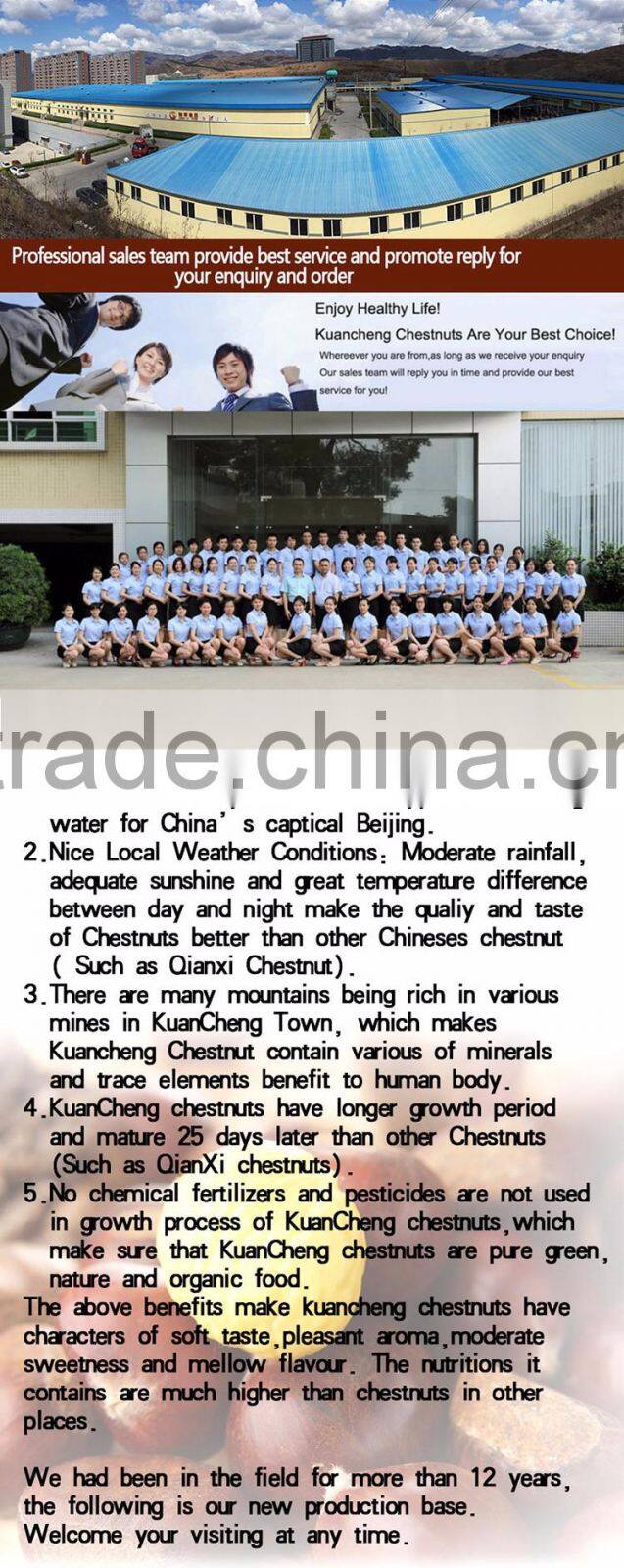 hot sale Organic Fresh Chinese Chestnut