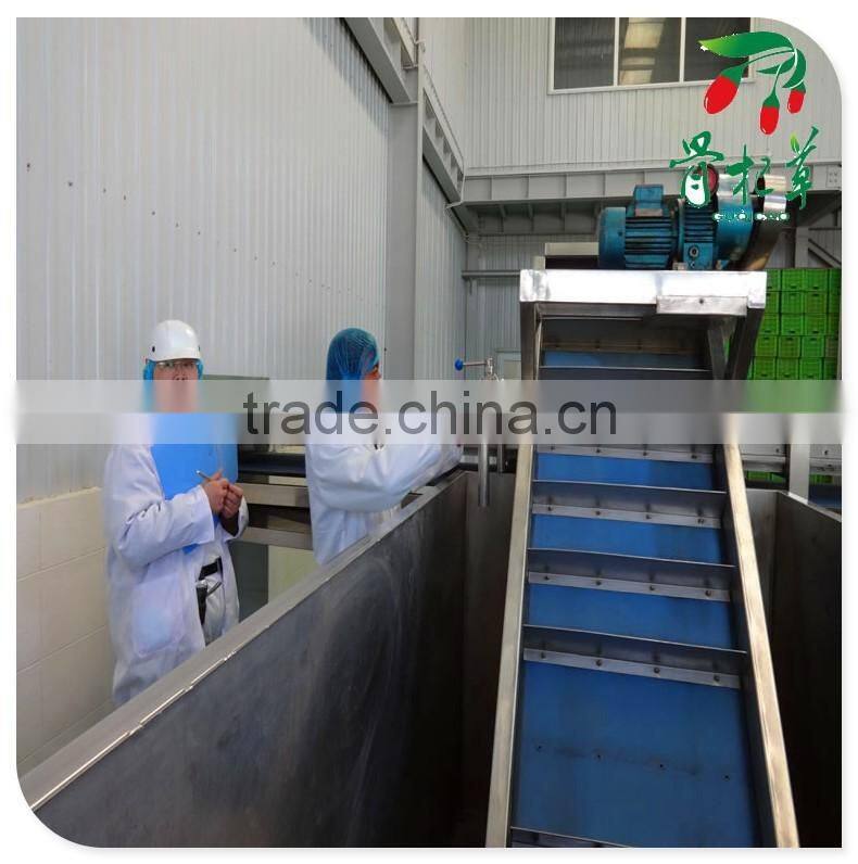 frozen red fresh medlar,goji fruit wolfberry,dried goji berry