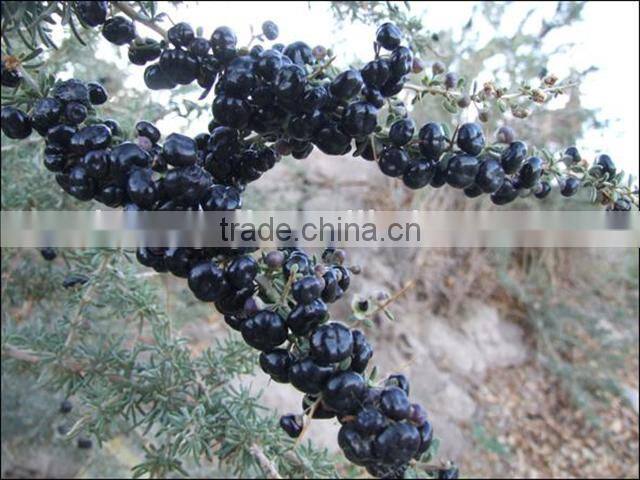 Chinese Black Goji Berry 100%