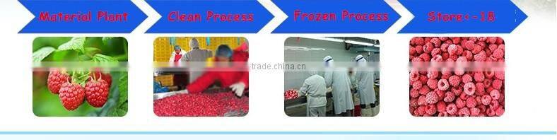 Grade A 95% whole frozen IQF raspberry