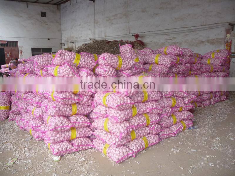 Dehydrated vegetable air dried white garlic