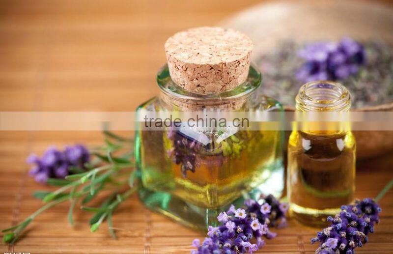 ginger oil extraction machine