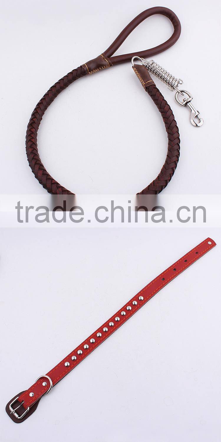 fashionable led dog collar with leash