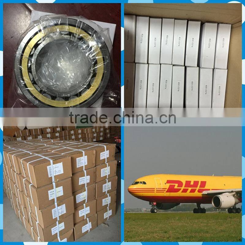 Roller Shutter Bearing Ball Bearing 6010 2Z/C3 Bearing