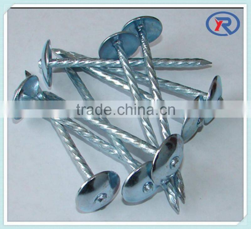 Common Nails/ Concrete steel Nail/Roofing Nail China Manufacturer