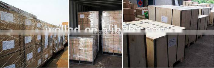 Red Painted Standard Lever Type Load Binder