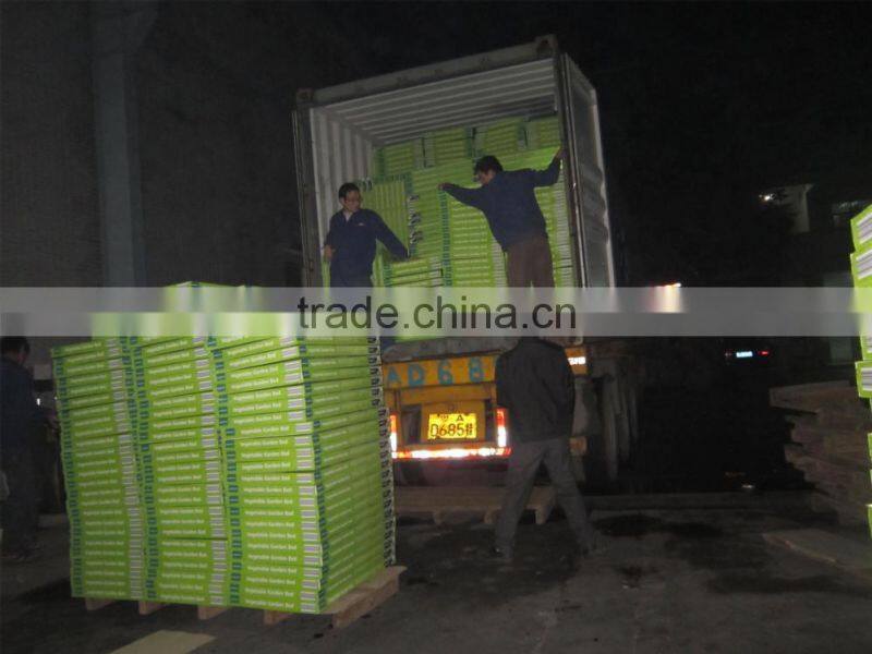 Raised vegetable garden beds for no dig garden,veggie garden