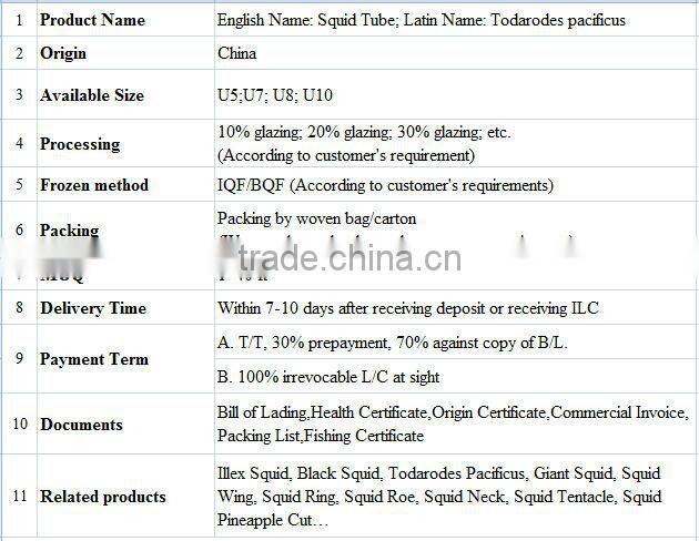 Frozen Squid Tube U5, U7, U8, U10