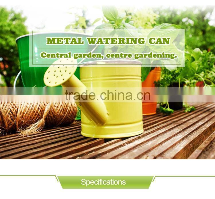 Hot Sale Handle Metal Watering Can