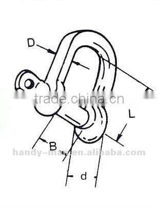 Stainless Steel D Shackle