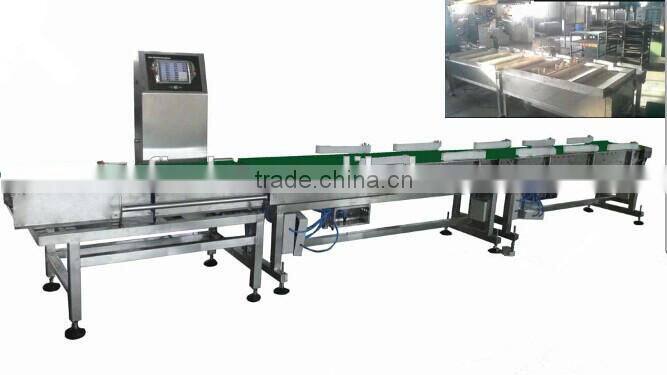 check weight machine for food industry