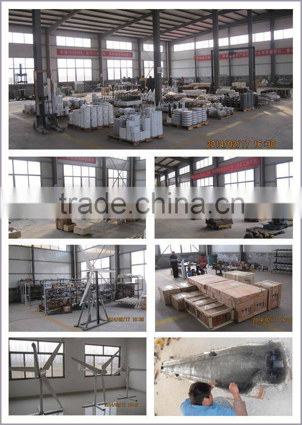 Chinese 3000w max 4800w dc motor wind turbine