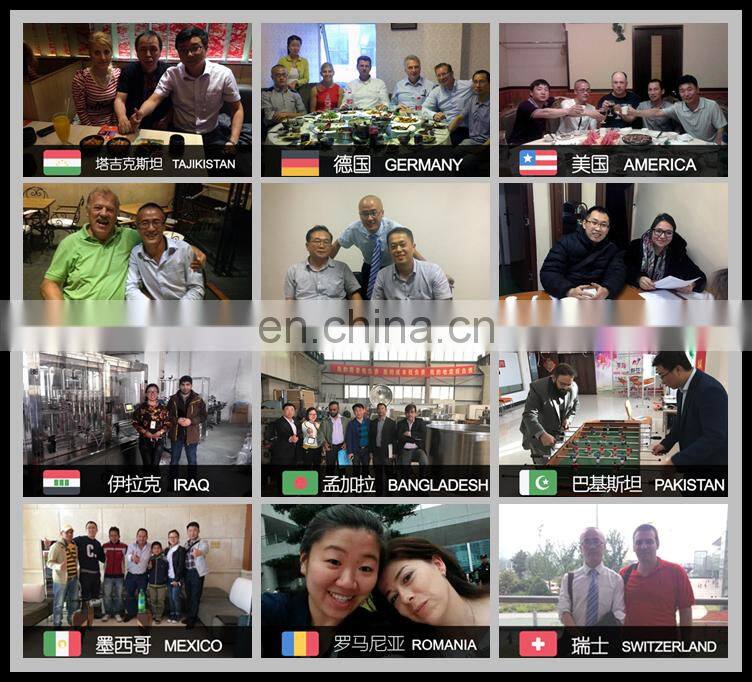 Chinese Manufacturer medicine liquid Washing Drying Filling machine Dispensing Peristaltic Pump