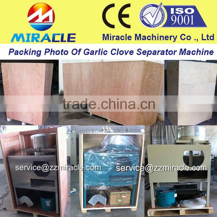 Garlic separator clove machines from fresh garlic processing line