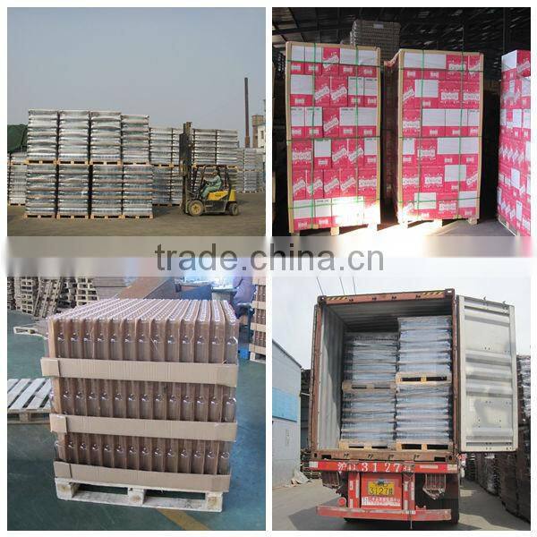 Champagne glass bottles wholesale