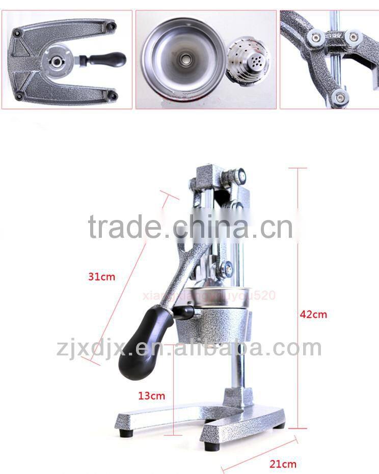 champion masticating juicer