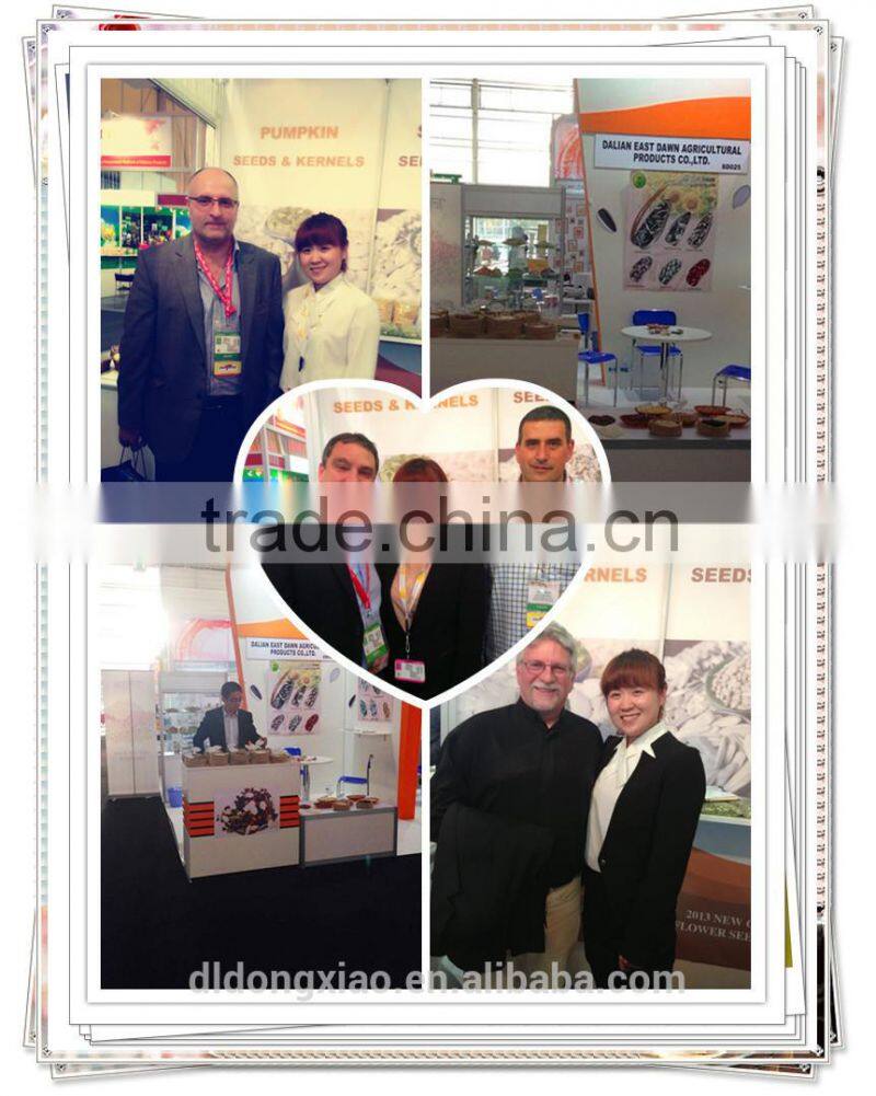 Shine Skin Pumpkin Seeeds