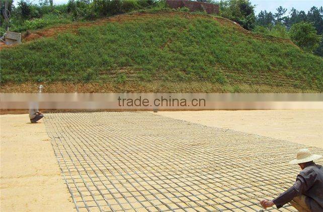 12.5mmx12.5mm Geogrid with CE /ISO Certificate