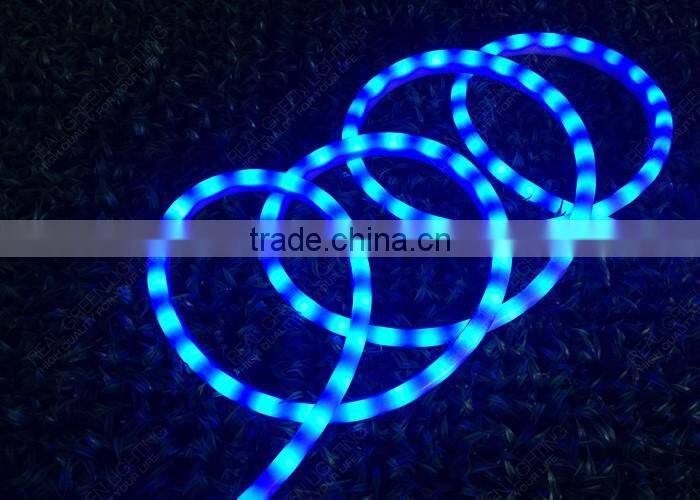 Retail & Wholesale 120V Chasing LED Neon Rope Light