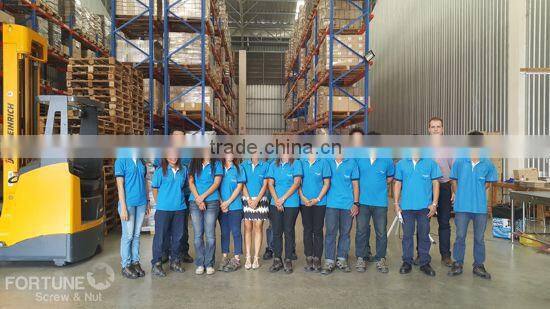 Chipboard Screw CSK Head