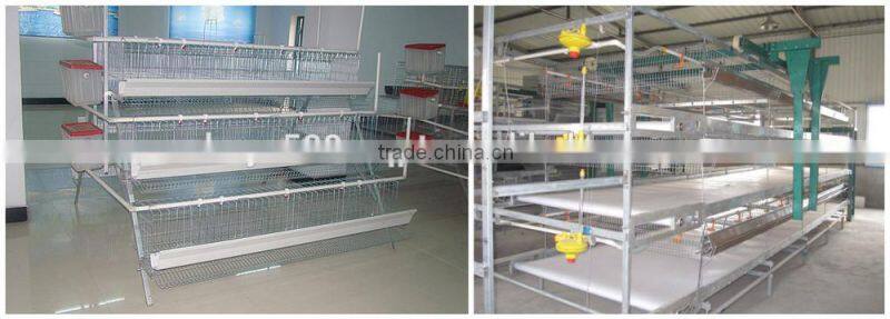 Africa Market Nigeria Farm Use Best Price Pullet Rearing Cage for one day old chicks