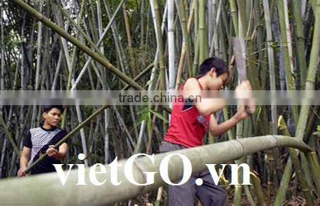 Eco-friendly perfect for BBQ Bamboo Skewer from Vietnam