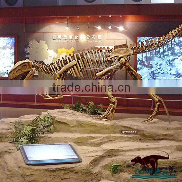 OA6146 Museum Use Exhibition Dinosaur Skeleton Fossil