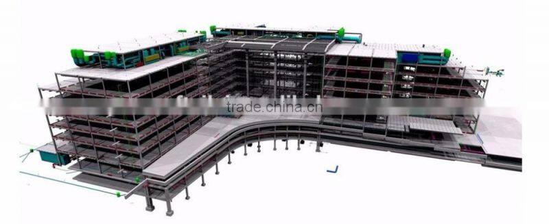 Construction Steel Structure Multi Stroage Building