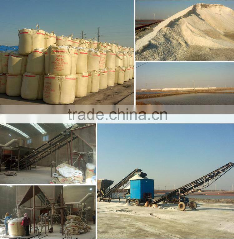 foods containing mineral salts , sodium chloride tablets , salt sodium chloride