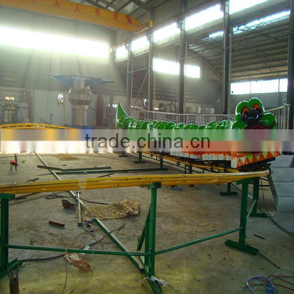 China manufacturer amusement rides kiddie caterpillar roller coaster for sale