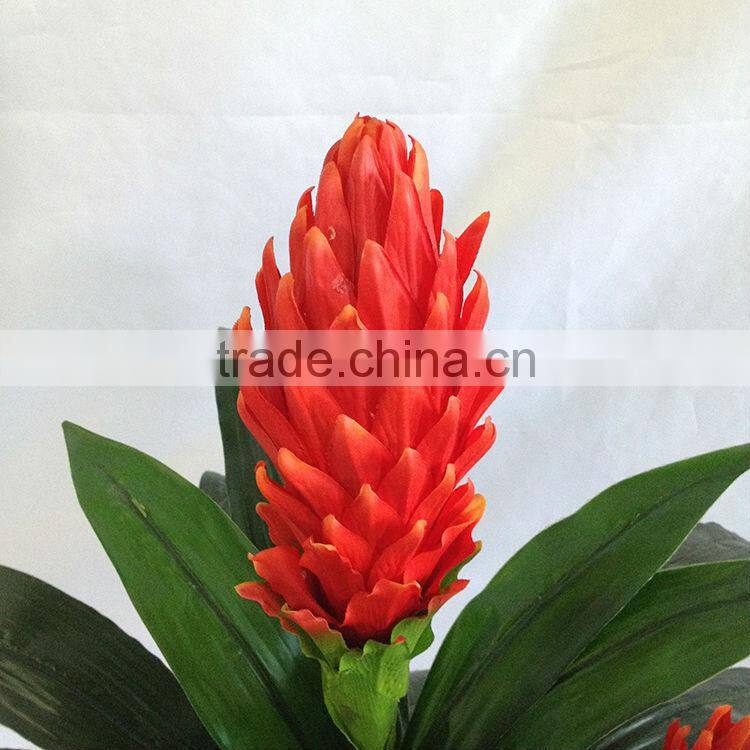 flowering decorative indoor trees