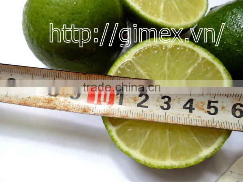 fresh lemon high quality seedless Gimex 2015