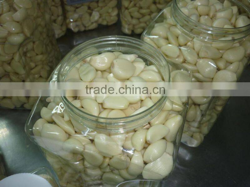 Fresh Peeled Garlic Bulk